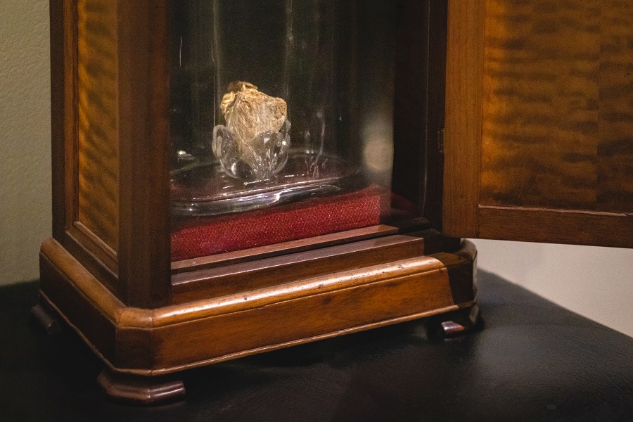 Un corazón que latió en el siglo XIX pervive en el Museo Universitario