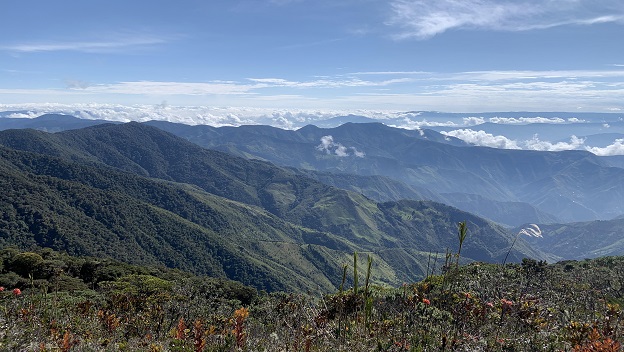 Investigar en parques nacionales, el desafío para la conservación