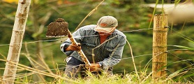 Intermediarios y volatilidad de precios, problemas de nunca acabar del agro colombiano