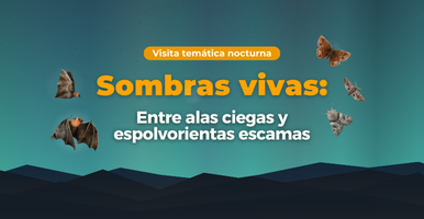Visita temática: Sombras vivas: entre alas ciegas y espolvorientas