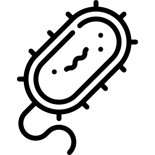 Líneas de investigación