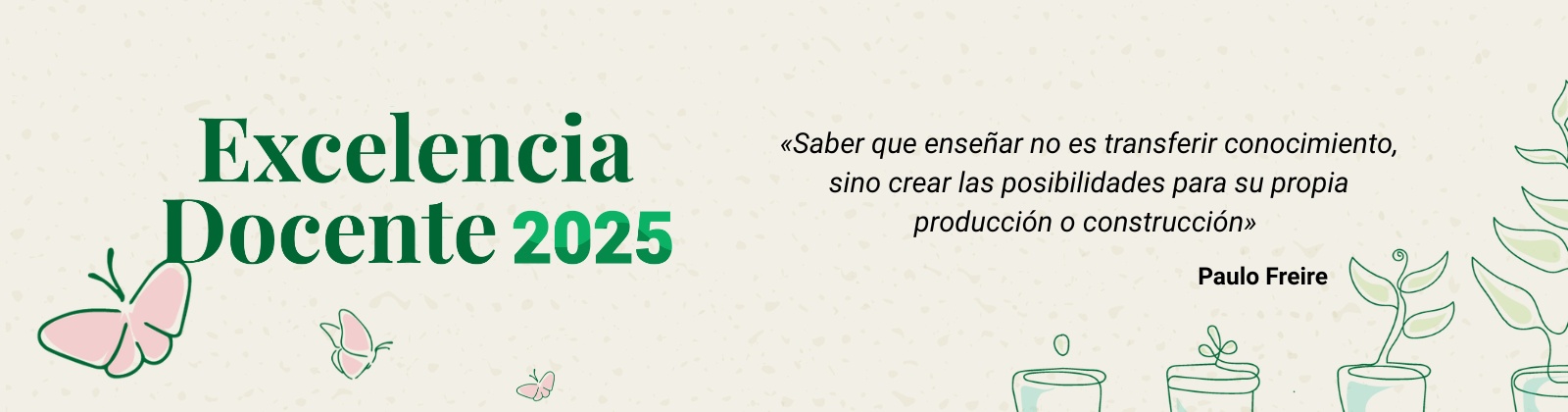 Programación Excelencia Docente