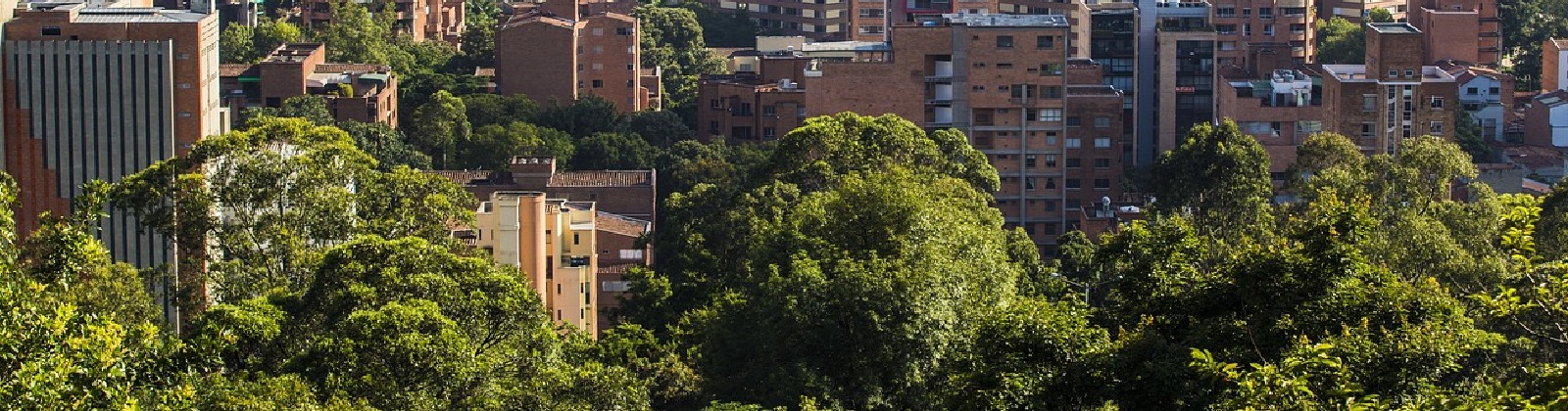 Medellín desde panóramica 