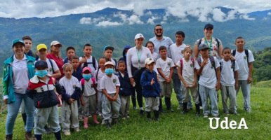 foto de colibrí