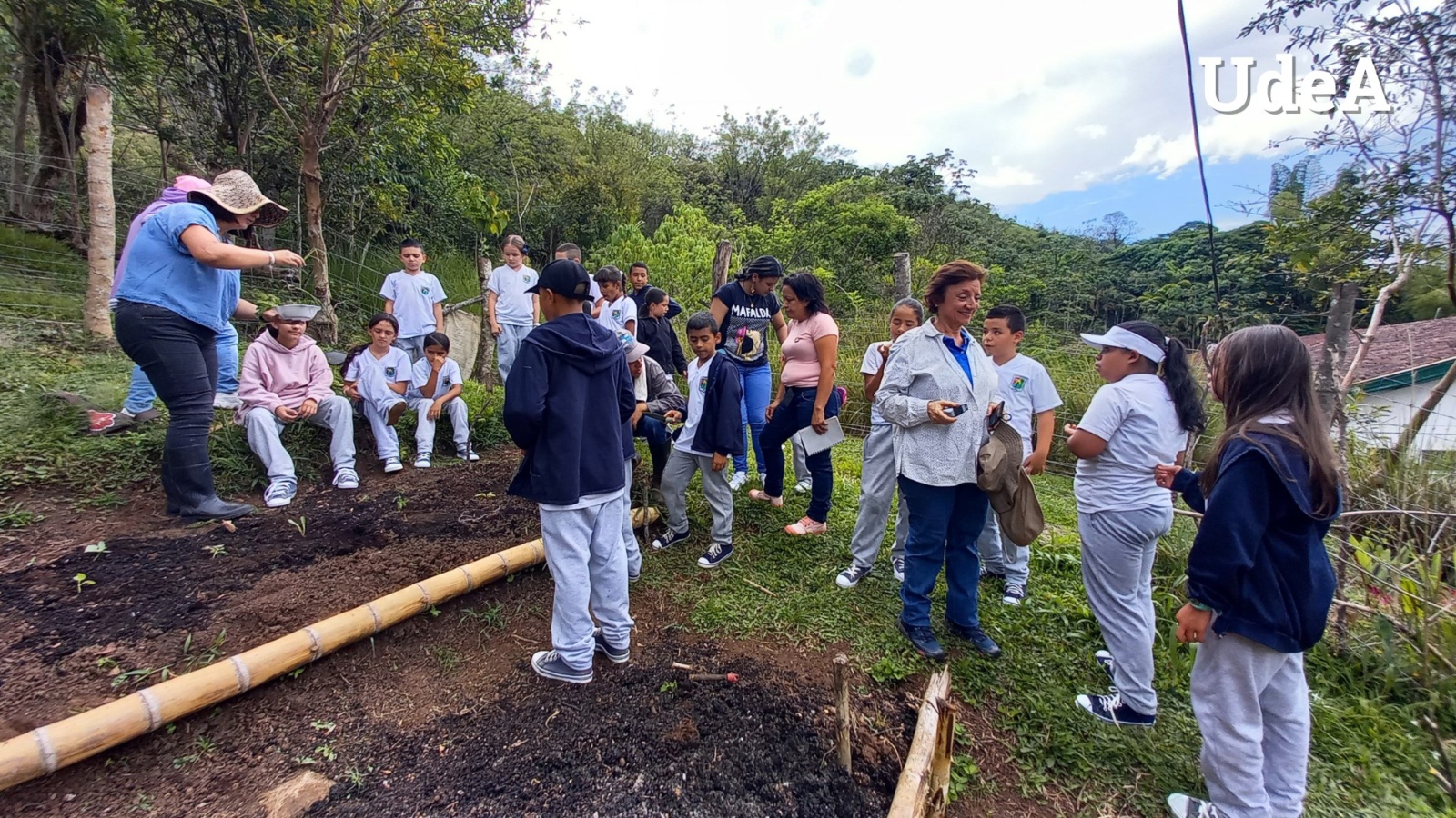 Estudiantes del semillero infantil de investigación en la huerta agroecológica de la UdeA Campus Andes