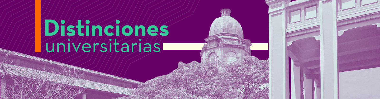 Participa en la elección de representante no docente ante el Comité de Evaluación de Empleos 2025-2027