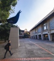 Sistema de Bibliotecas