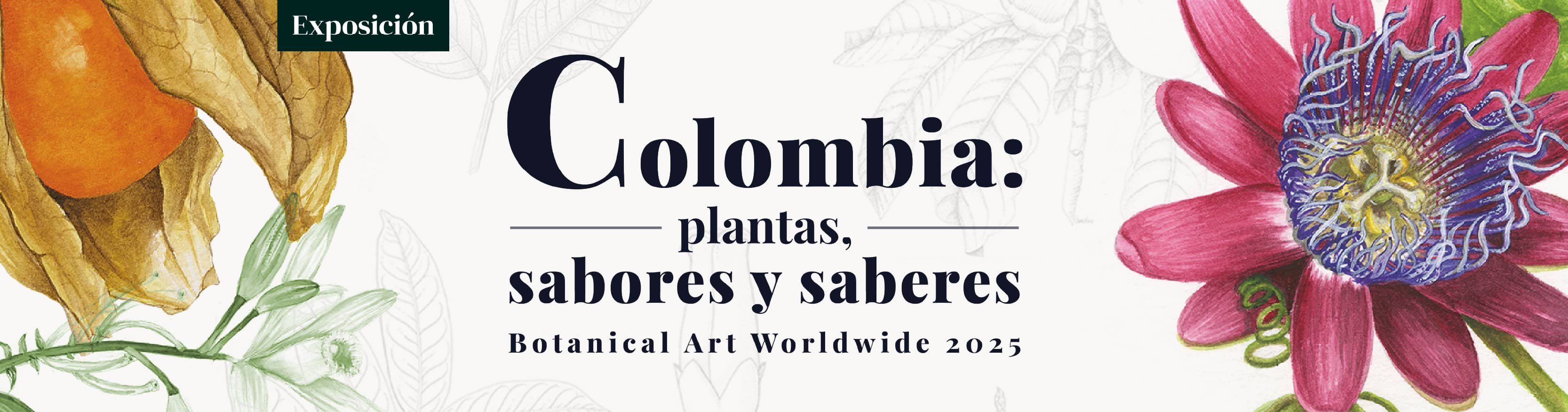 Colombia: plantas, sabores y saberes