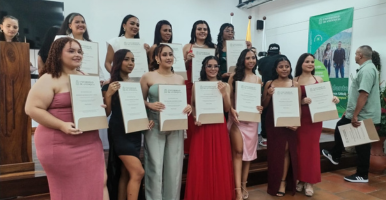 foto de colibrí