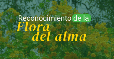 Reconocimiento de la Flora del Alma