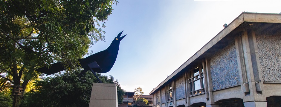 Fotografía horizontal de la escultura Maríamulata, que hace parte de la colección de obras del Museo Abierto de la Universidad de Antioquia, en el Campus Medellín - Ciudad Universitaria. Es un ave representativa del caribe colombiano de color azul tornasolado que el maestro Enrique Graú representa en posición de tomar vuelo.