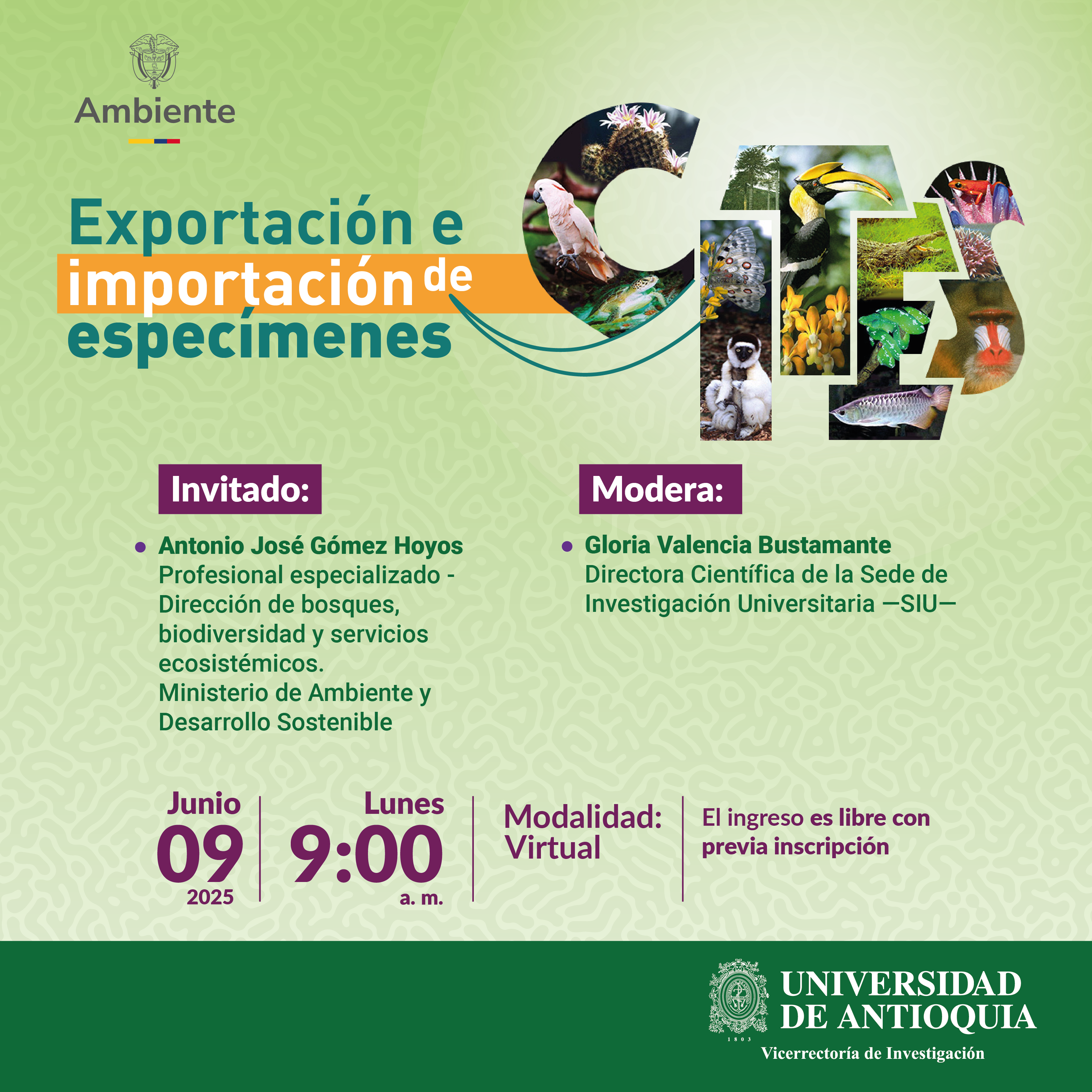 ecard socializacion cites