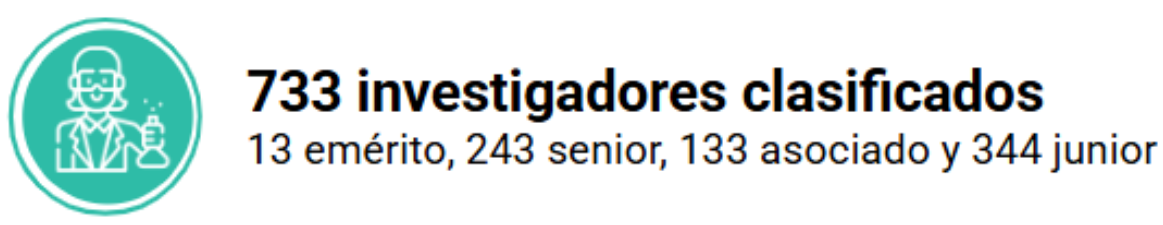 investigadores clasificados